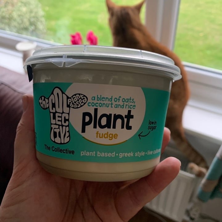photo of The Collective Plant Based Fudge Greek style yoghurt shared by @beckyallott on  12 Sep 2021 - review