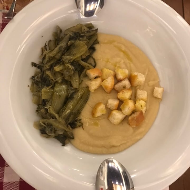 review photo of Orecchiette e Vino Purè di fave shared by @mollyk on 17 Apr 2022 - review