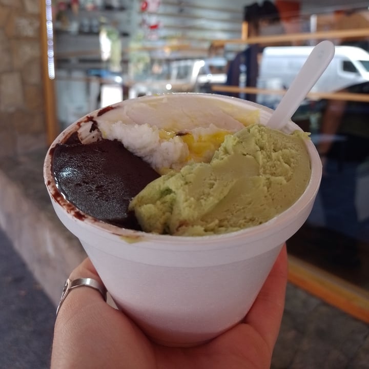 photo of Heladería Artesanal San Martín Helados shared by @lafloravegana on  15 Mar 2022 - review