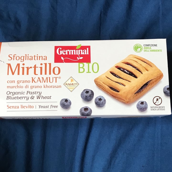 photo of Germinal Bio Sfogliatina mirtillo kamut shared by @taisaflora on  31 Mar 2022 - review