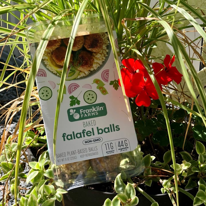 photo of Franklin Farms Baked Falafel Balls shared by @alexanicole on  19 May 2022 - review