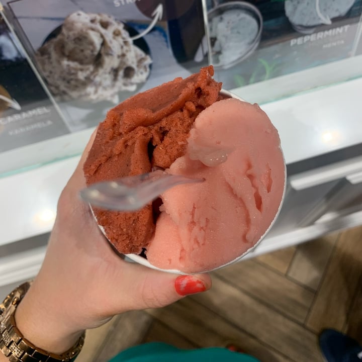 photo of aROMA gelato Dubrovnik strawberry & Mint Sorbet shared by @vegneve on  27 Jul 2022 - review
