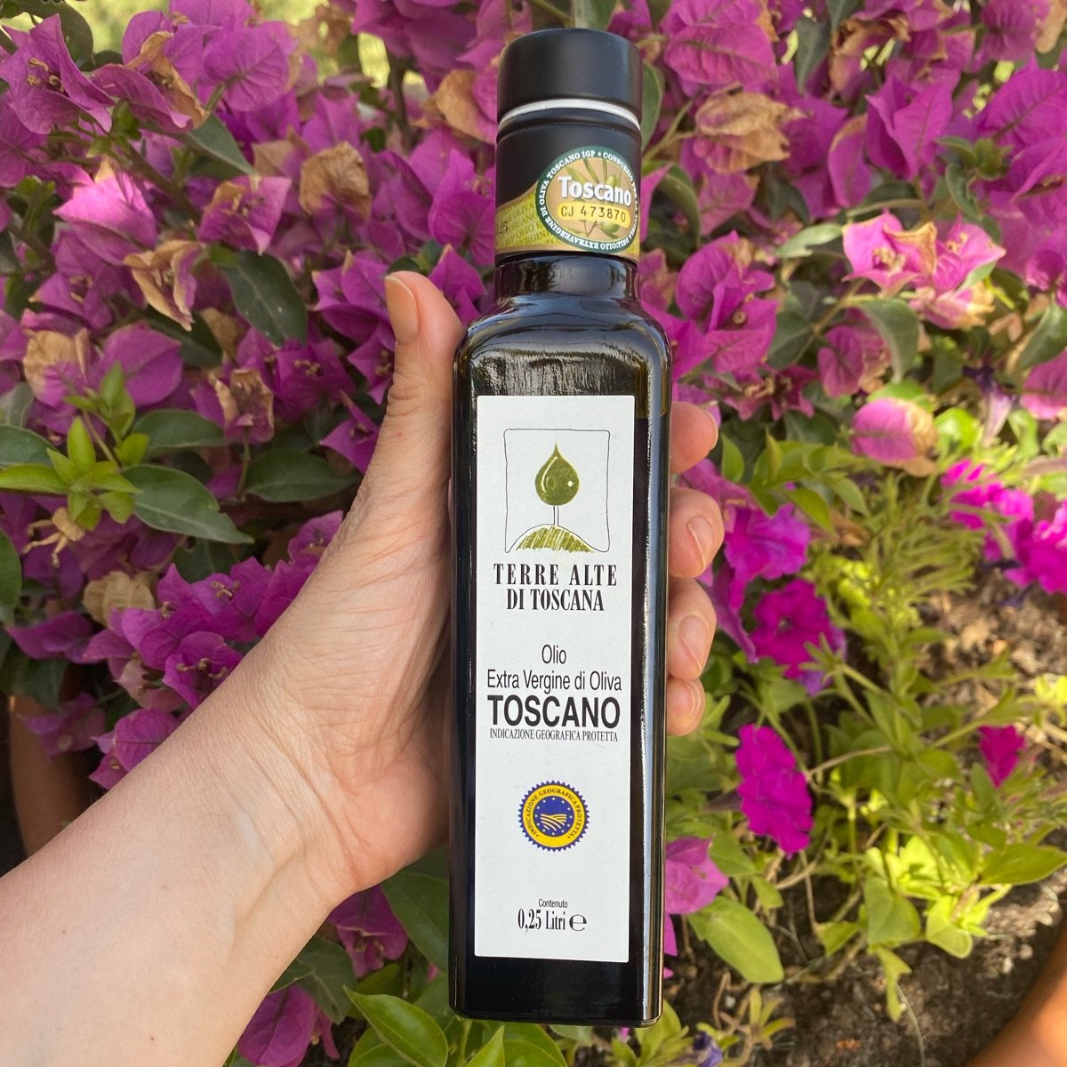 Bottiglia 0,75 Litri Terre Alte di Toscana - Olio Extravergine di Ol –  Oleificio OL.MA. S.a.c.