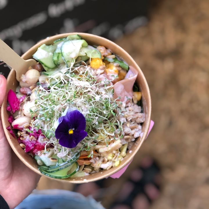 photo of Oranjezicht City Farm - Market Plant Based Food Bowls - Root Culture shared by @janalinko on  15 Jun 2020 - review