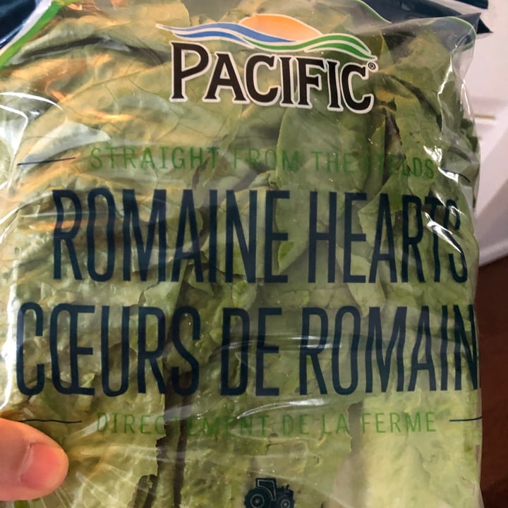 photo of Pacific Romaine  lettuce shared by @allycat38 on  17 Oct 2021 - review