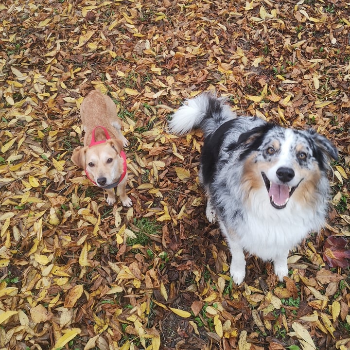 photo shared by @laurarft on  27 Nov 2021 - post