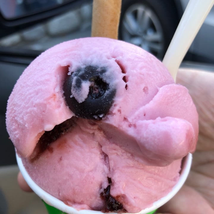 review photo of Idyllwild Ice Cream & Jerky Caramel Peanut Dairy Free Nice Cream shared by @vfree on 21 May 2020 - review