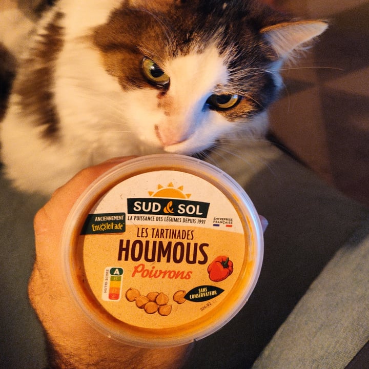 photo of Sud 'n' sol houmous au poivron shared by @juju81 on  20 Nov 2022 - review