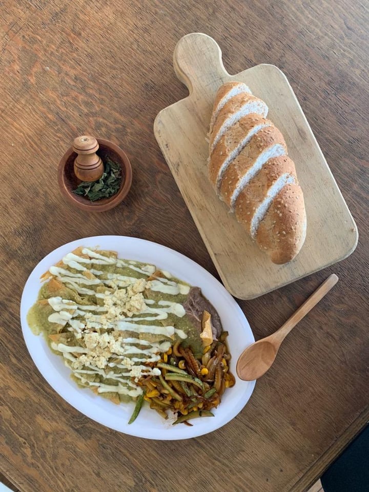 photo of Restaurant tierra mestiza Chilaquiles Verdes con Crema y Queso de Garbazo shared by @giovannijaguar on  03 Mar 2020 - review