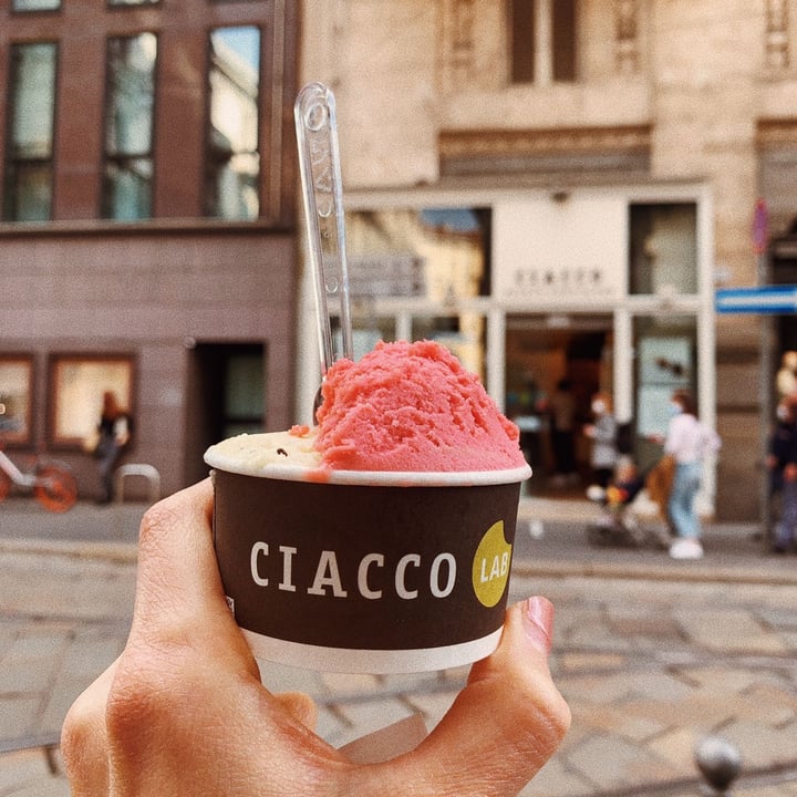 photo of Ciacco Gelato Veg shared by @fedebonny on  25 Feb 2022 - review
