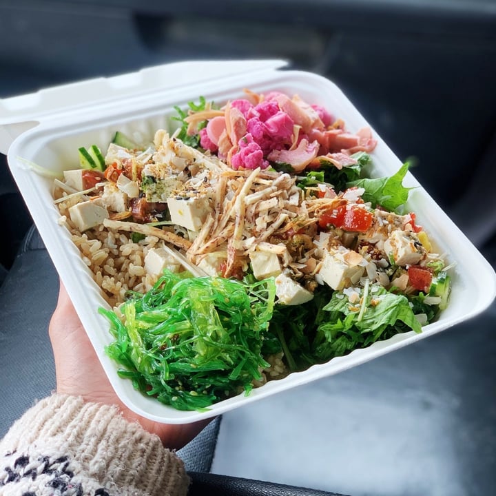 photo of Turtle Boat - Colorado Poki Salads Poke Bowl (Regular Size) shared by @thetreekisser on  05 Jan 2021 - review