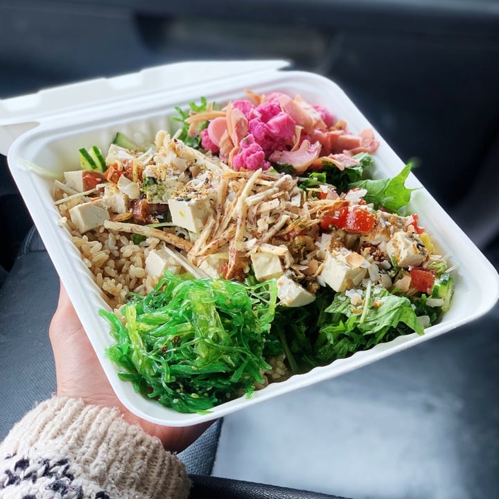 review photo of Turtle Boat - Colorado Poki Salads Poke Bowl (Regular Size) shared by @thetreekisser on 05 Jan 2021 - review
