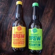 Brew Kombucha