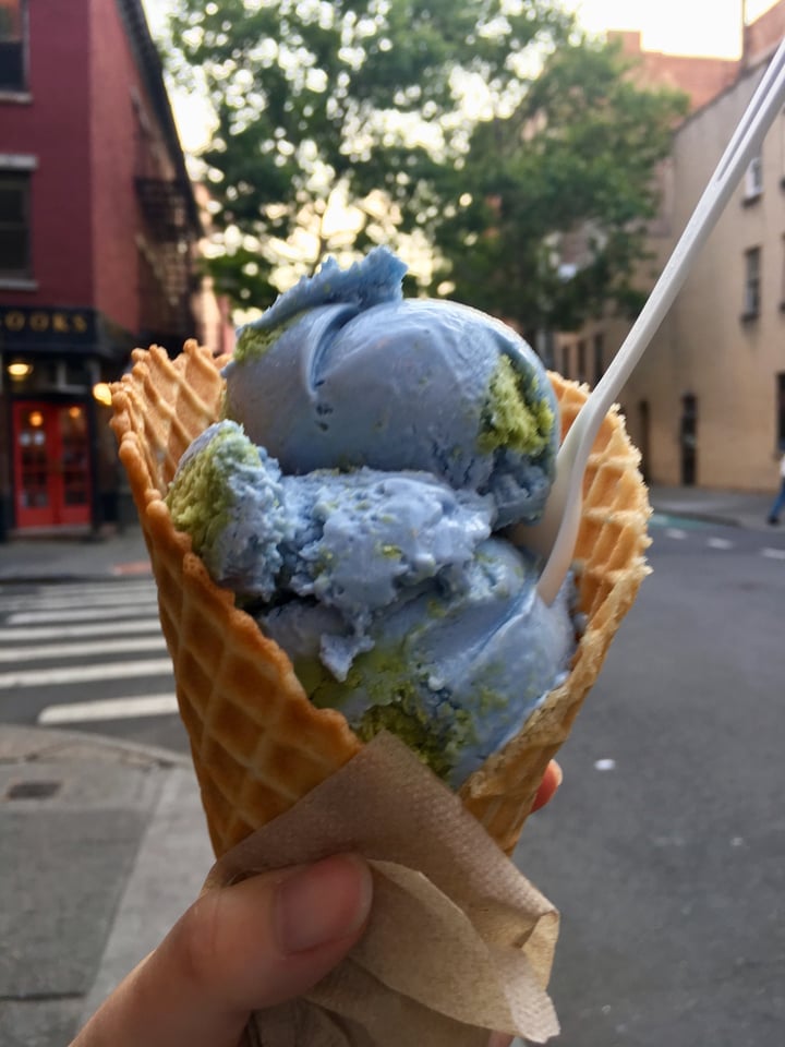review photo of Van Leeuwen Ice Cream Planet Earth shared by @happyfluffyvegan on 01 Jul 2018 - review