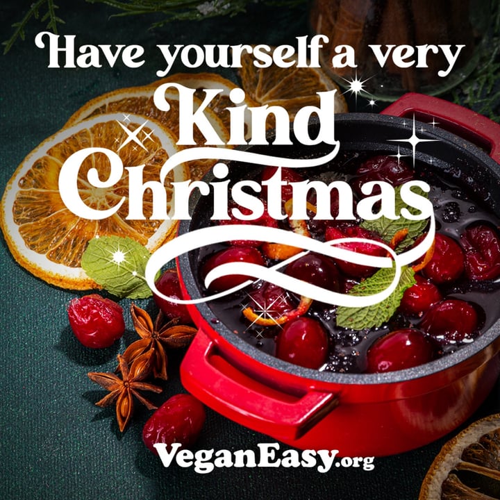 review photo shared by @veganeasychallenge on 06 Dec 2022 - post
