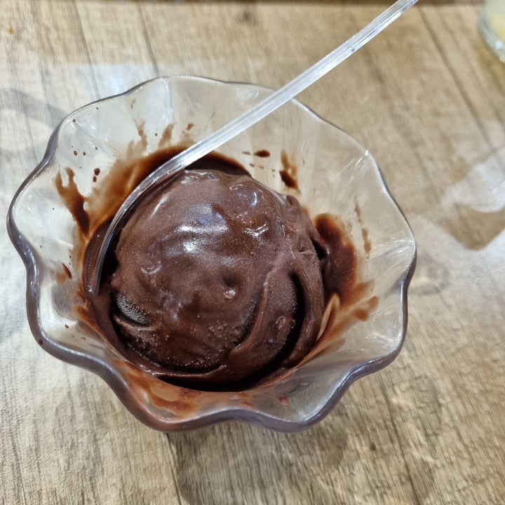 photo of Saute-San Vegan Chocolate Ice Cream shared by @plantbasedlifestyle on  09 Oct 2022 - review