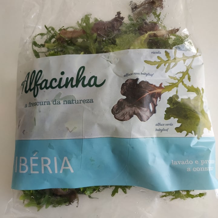review photo of Alfacinha alface roxa babyleaf shared by @silvanaguerreiro on 19 Jun 2022 - review