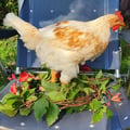 tina2021 @tina2021 profile image