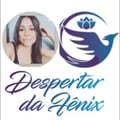 @despertardafenix profile image