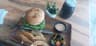 Vegan Be