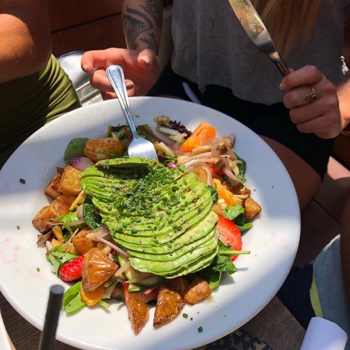 photo of The Shop Kitchen sunshine salad shared by @bellaf on  02 Sep 2021 - review