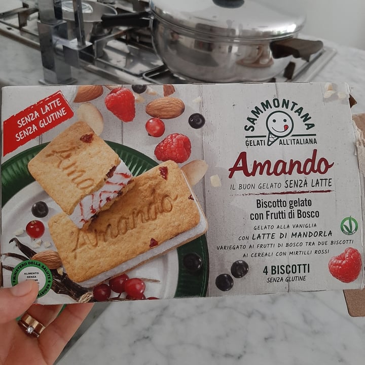 photo of Sammontana Biscotto Amando con Frutti di Bosco shared by @fragiomar on  16 Jun 2021 - review