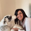 paolasignaroldi @paolasignaroldi profile image