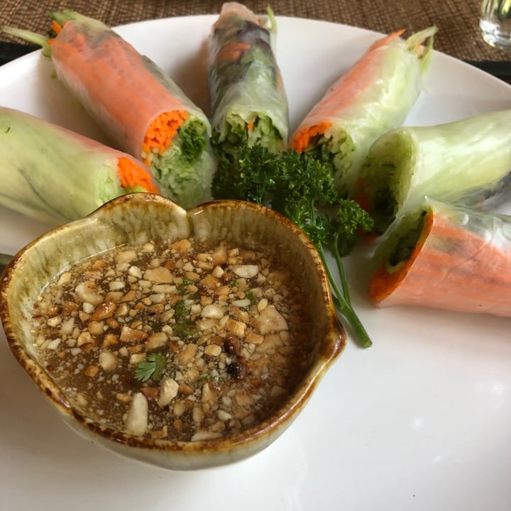 photo of Reform Kafé Fresh spring rolls shared by @justavegangirl on  15 Mar 2020 - review