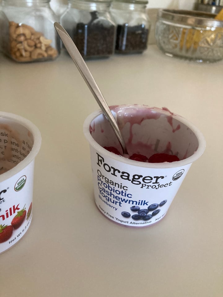 photo of Forager Project Blueberry Cashewmilk Yogurt shared by @maesti on  03 Sep 2022 - review