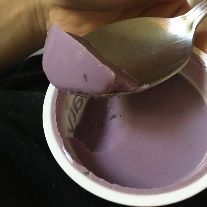 photo of Daiya Blueberry Yogurt shared by @ximenamachete on  17 May 2020 - review