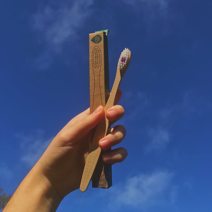 photo of Meraki Cepillos de Dientes de Bambú para Adultos shared by @veggggggg on  23 Jun 2020 - review