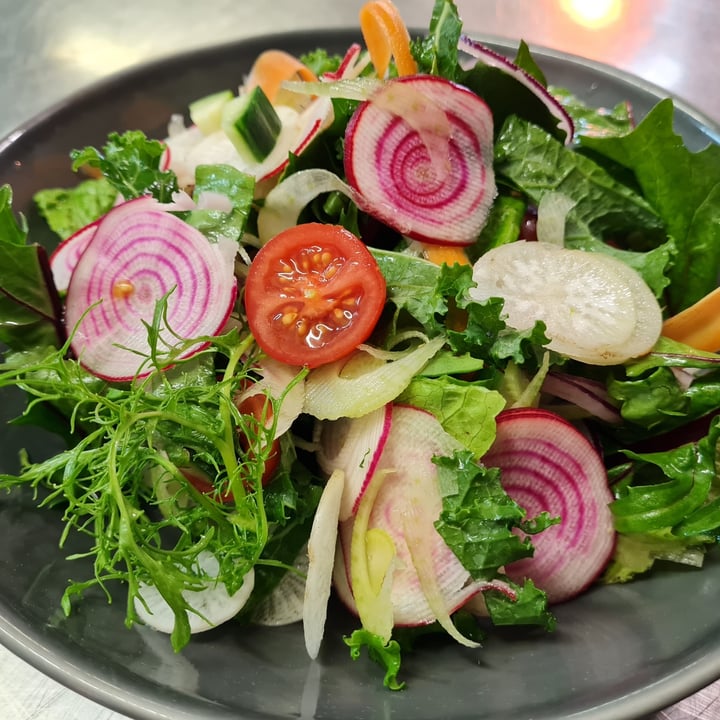 photo of Longridge Restaurant Garden seasonal salad shared by @ell269 on  15 Jun 2021 - review