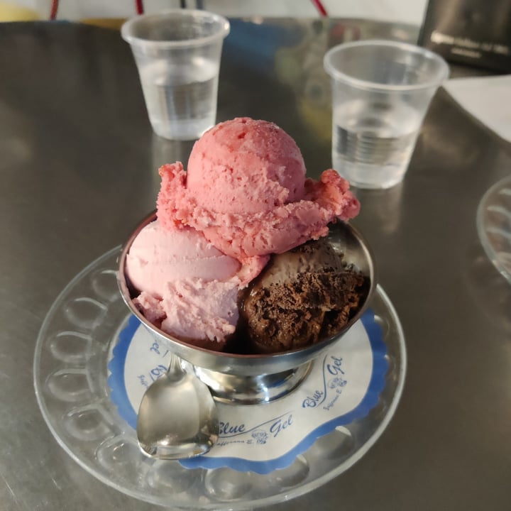 photo of BlueGel gelato shared by @tstefano on  12 Jun 2022 - review