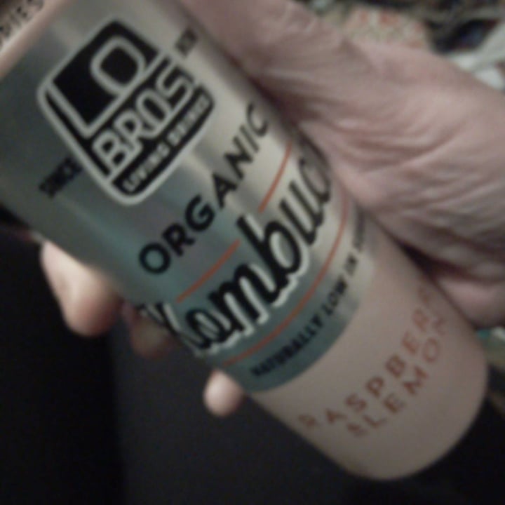 photo of Lo Bros Raspberry & Lemon Can shared by @veganjaybee on  21 Mar 2020 - review