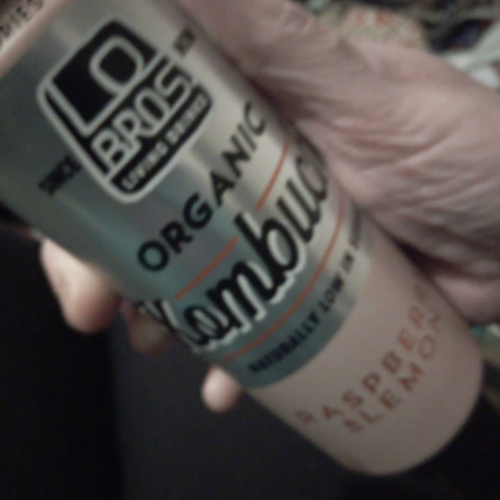 review photo of Lo Bros Raspberry & Lemon Can shared by @veganjaybee on 21 Mar 2020 - review