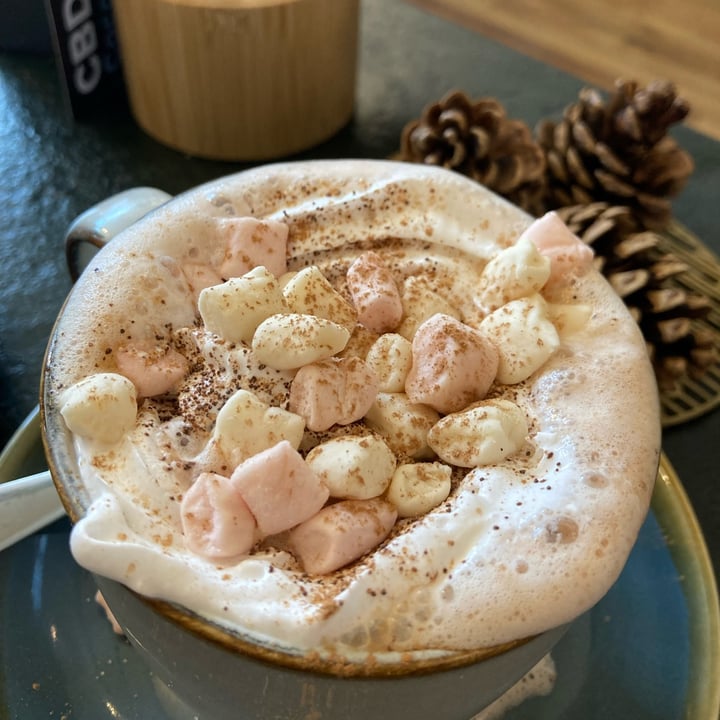 photo of Roots Lounge Bude Deluxe hot chocolate shared by @hollya113 on  20 Dec 2021 - review