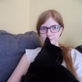 gingerlynx @gingerlynx profile image