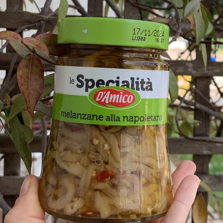 review photo of D’Amico Melanzane alla napoletana shared by @canarini01 on 05 Apr 2022 - review