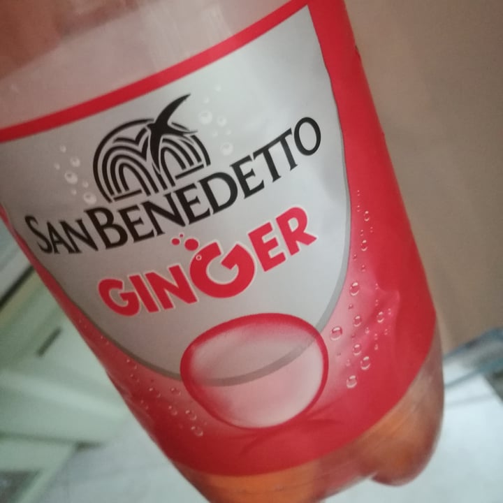 photo of San benedetto Ginger shared by @radicalsnake281 on  23 Jul 2021 - review