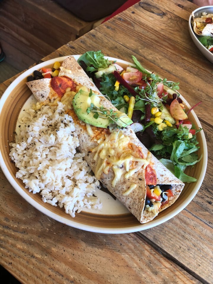 photo of Mad Cucumber Enchilada shared by @jonny2690 on  26 Aug 2019 - review