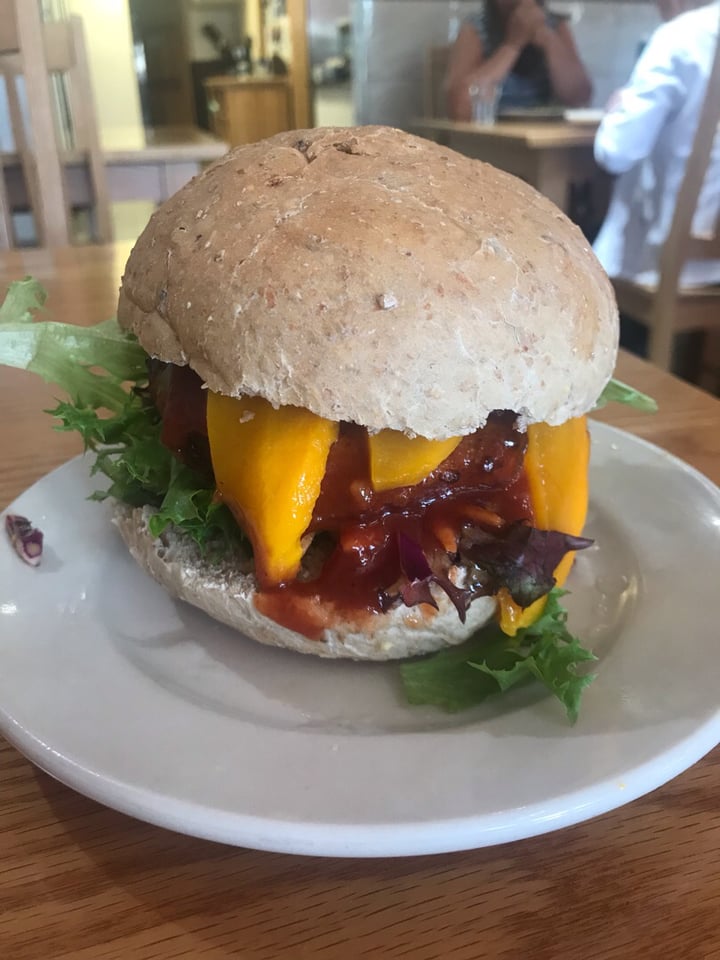 photo of Bonobo's Foods Mango Chick’n shared by @kaylabear on  15 Aug 2019 - review