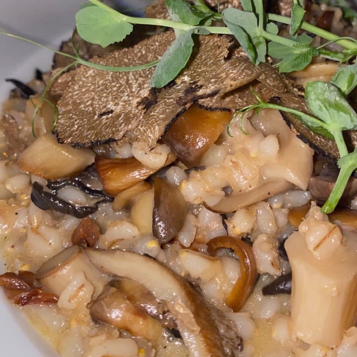 review photo of Bookeria Orzotto Con Funghi E Tartufo shared by @veganfairytale on 29 Aug 2022 - review