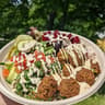 Falafel Mafia Food Truck