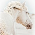 sofiafda @sofiafda profile image