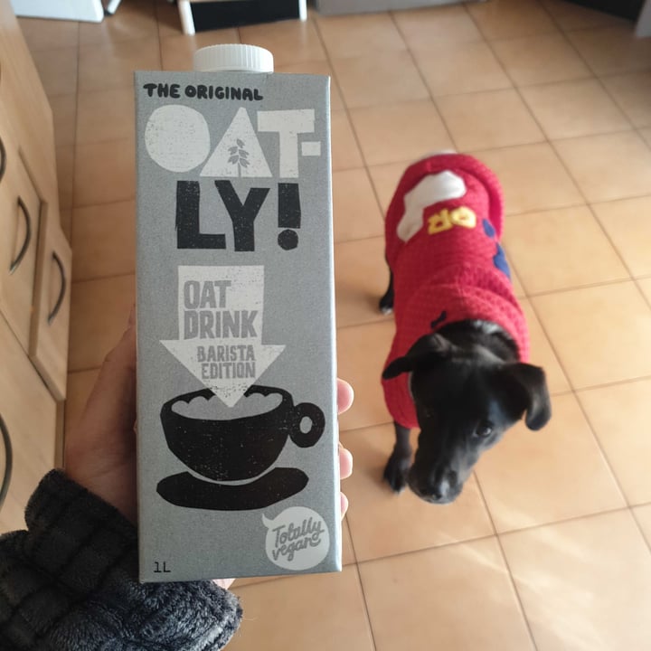 photo of Oatly Oat Drink Barista Edition  shared by @ricardojfmarques on  20 Jul 2021 - review