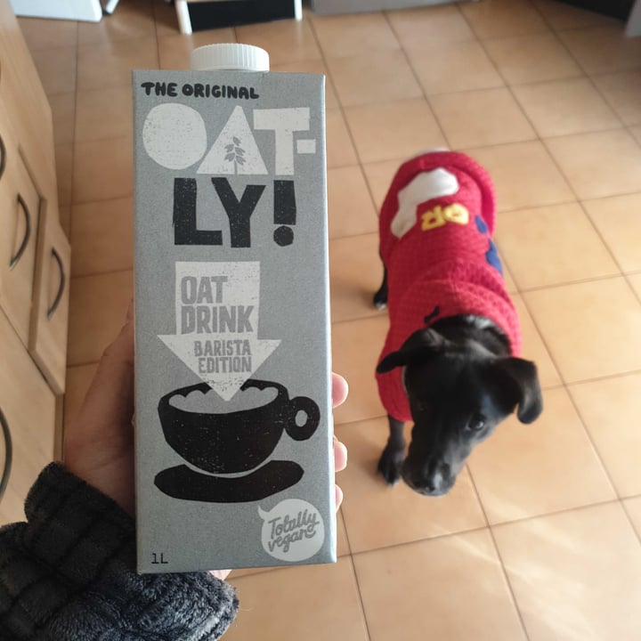review photo of Oatly Oat Drink Barista Edition shared by @ricardojfmarques on 20 Jul 2021 - review