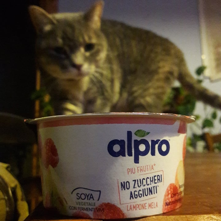 photo of Alpro Più frutta, Yogurt di Soya al Lampone e Mela shared by @giuliacarosio on  08 Nov 2021 - review
