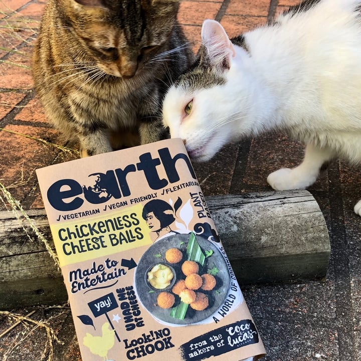 photo of Earth Chickenless cheese balls shared by @ronirios on  08 Dec 2020 - review