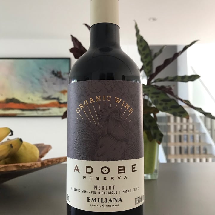 photo of Emiliana Adobe shared by @plantlove on  19 Jul 2021 - review