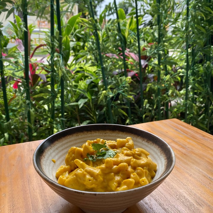 photo of The Plant Food Cauliflower Mac and Cheese shared by @piggy-egg on  06 Apr 2022 - review